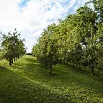 In Kranjska Krain 42904 Casa vacanze