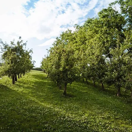 In Kranjska Krain 42904 Дом отдыха