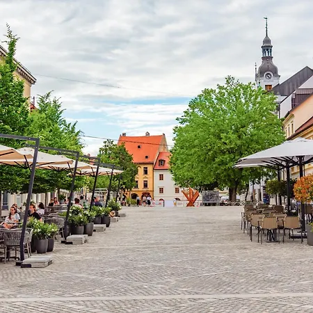 In Kranjska Krain 42904 Casa vacanze