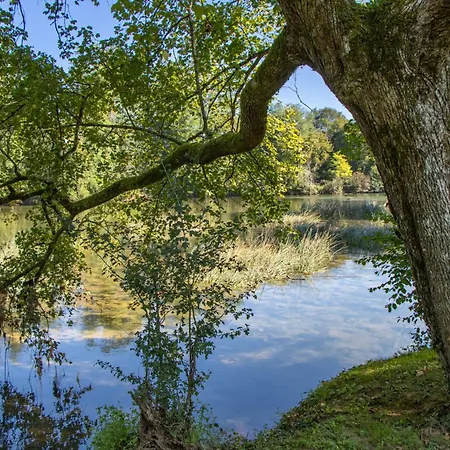 In Kranjska Krain 42904 Casa vacanze *
